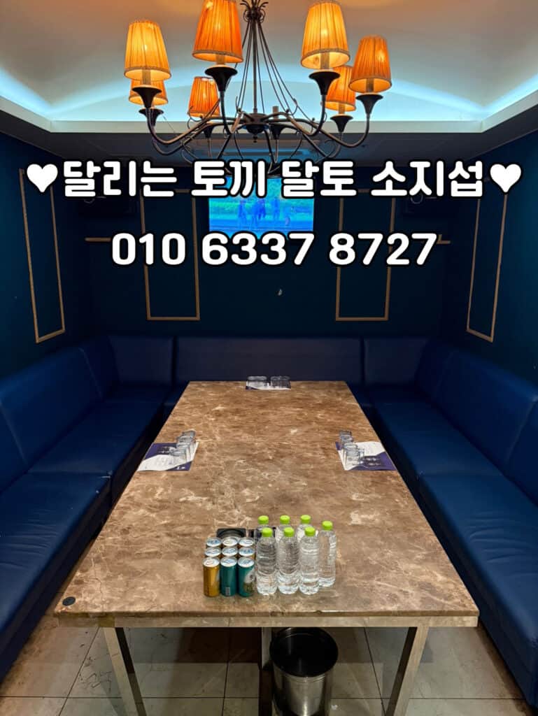 달토의 내부사진, 달리는토끼의 내부사진, 달토 주대