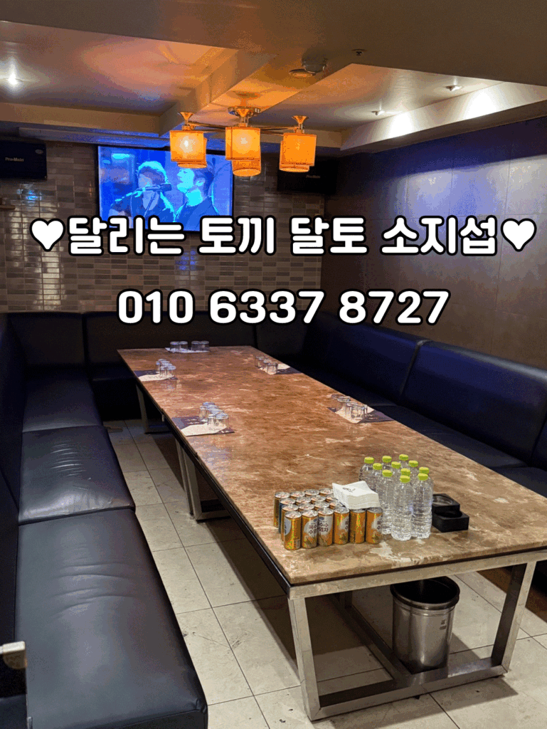 달토의 내부사진, 달리는토끼의 내부사진, 