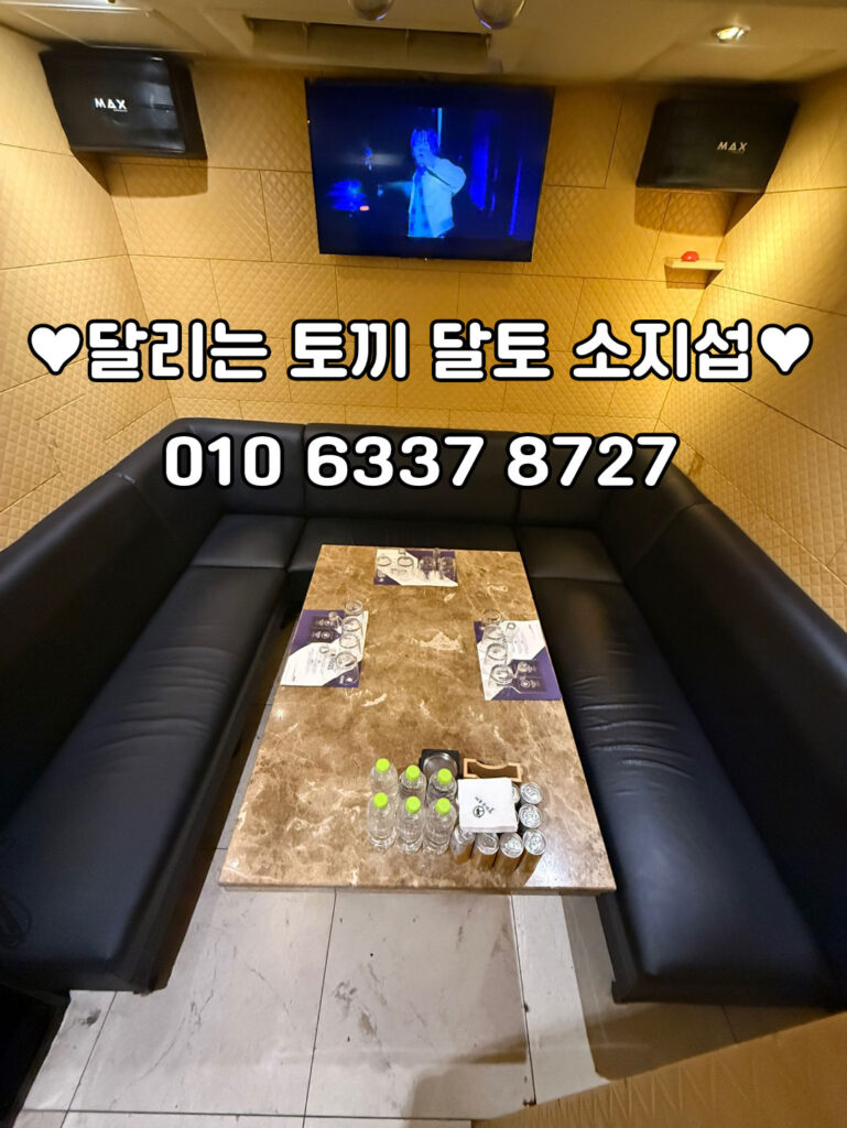 달토의 내부사진, 달토 서비스