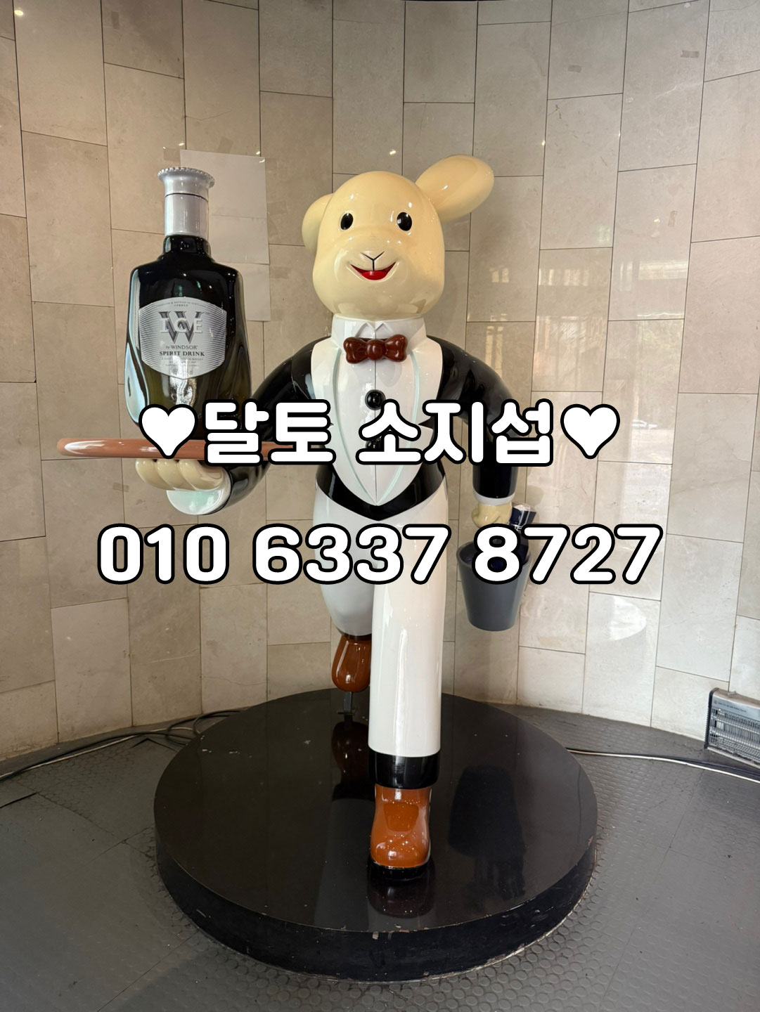 달리는토끼, 달토, 강남 하이퍼블릭, 셔츠룸, 달토 소지섭